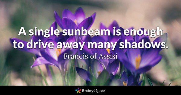 A single sunbeam is enough to drive away many shadows.