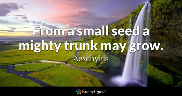 From a small seed a mighty trunk may grow.