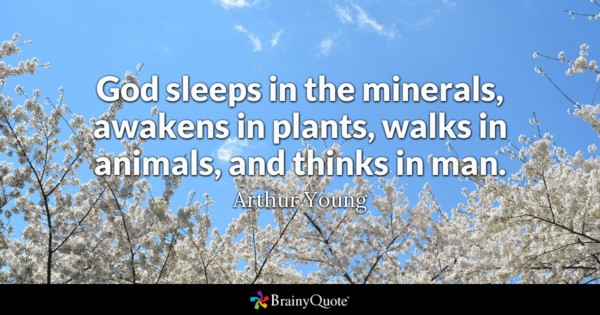 God sleeps in the minerals, awakens in plants, walks in animals, and thinks in man.